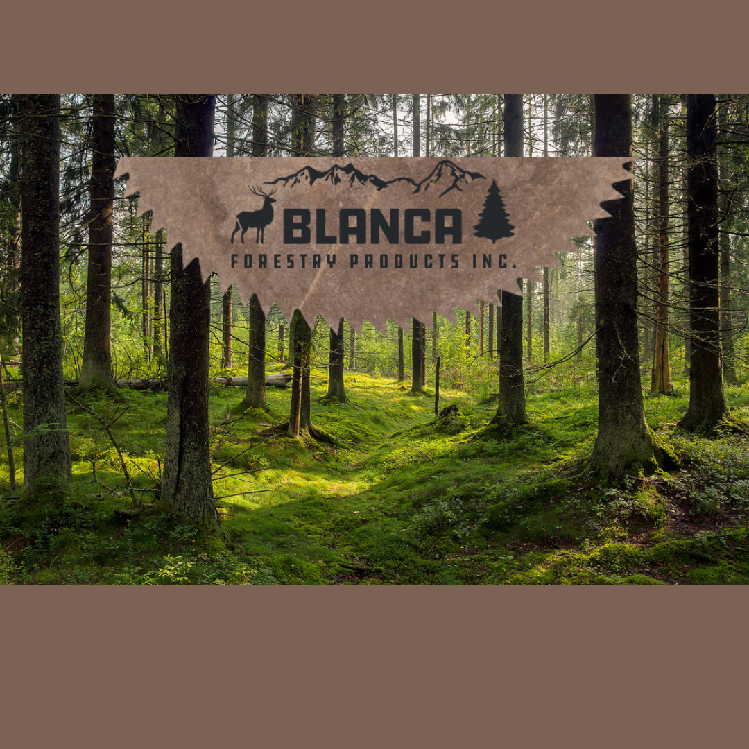Lucidyne Scanner & Grade-VU Projector System: Blanca Forestry Products – MiCROTEC Stands Out